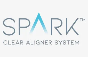 Spark Logo